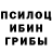 Псилоцибиновые грибы мицелий Bennett