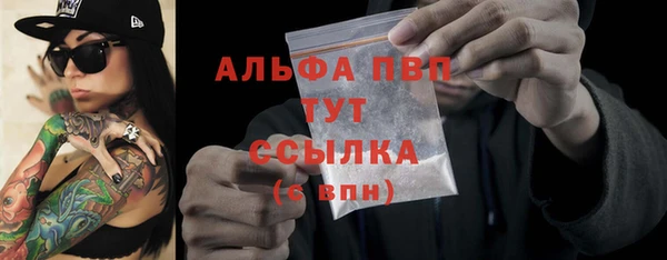дживик Богородицк