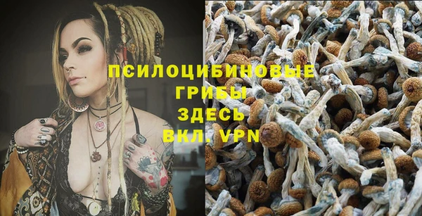 ALPHA PVP Богородск