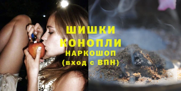 дживик Богородицк