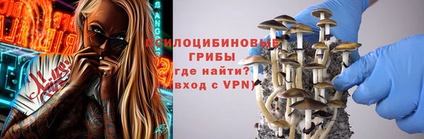 дживик Богородицк